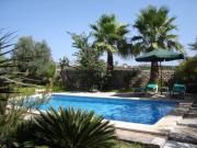 Top Manacor