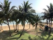 Sandy Shores