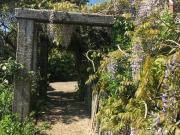 Top Wootton Fitzpaine