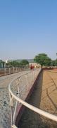 Top Udaipur