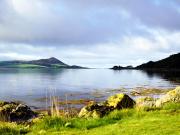 Top Tarbert