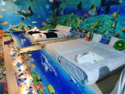 Top Lumut