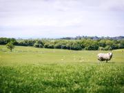 Top Malpas Top Malpas