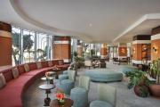 Top Casablanca