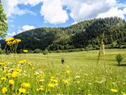 Top Schluchsee