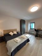 Apartamento exclusivo Muralla de Lugo 1.1