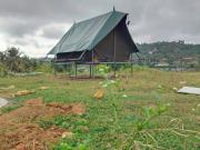 Top Agali