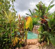 Top Bayahibe