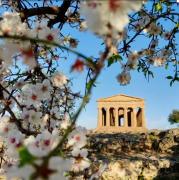 Top Agrigento