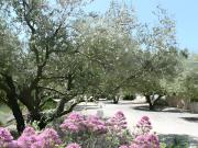 Top Saint-Rémy-de-Provence