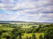Top Greenhaugh