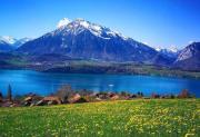Top Sigriswil