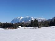 LoipenLoge Apartments