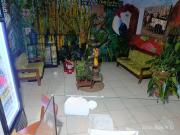 Top Tarapoto
