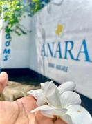 Anara Villa