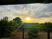 Top La Mata