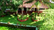 Top Alleppey