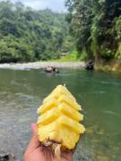 Ethical Trekking Sumatra-Book your trekking activity with us- the price includes pick-up and drop-off from the airport- meals- and accommodation