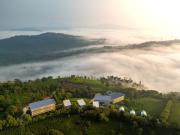 Top Vagamon
