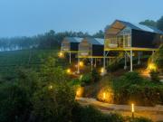 Top Vagamon