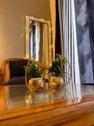 Top Greater Noida