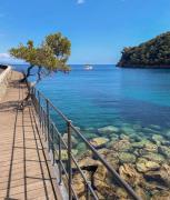 Top Rapallo