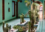 Top Oaxaca