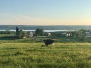 Top Bemus Point