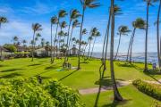 Top Koloa