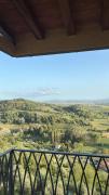 Top Treggiaia