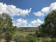 Top Boonah