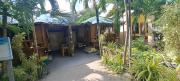 Top Laiya