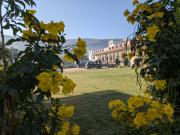 The Rose Bagh Resort Pushkar