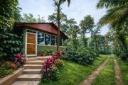 Top Sakleshpur