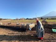 Fujisan Wild Adventure