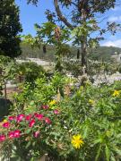 DALAT INN garden stay