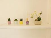 Bright Paris Apt Bastille Nation for 3 Guests