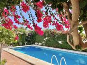 Top Estepona