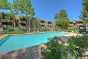 Top Scottsdale