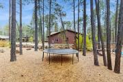 Top Indian Pine