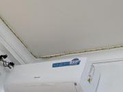 Pnv luxury appartment