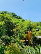 Top Kyonan