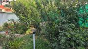 Top Ooty