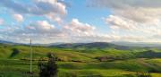 Top Volterra