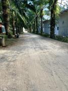 Top Ban Khlong Chi Lat