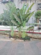 Top Ankleshwar