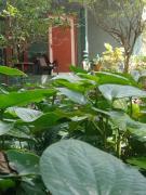 Nethu Herbal Villa