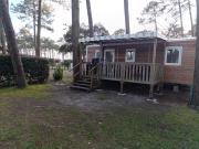 Top Saint-Julien-en-Born