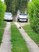 Tu hogar en Concordia