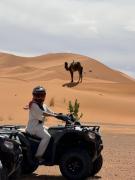 Top Merzouga